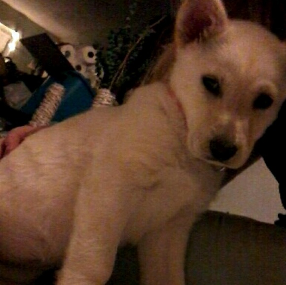 Meet your Posher, Michaela - Picture 1 of 1